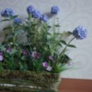 [유기농<b>시어</b>버터크림 추천] 100% <b>시어</b>버터의 힘! 닐로틱 <b>시어</b>버터