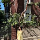 바로라인 이미지