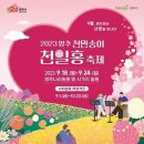 천일홍축제 이미지