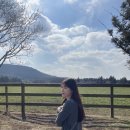 병호목장 이미지