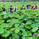 주천초등학교 이미지