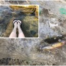 사계절산장 이미지