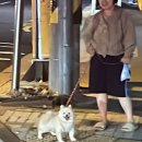 씨유전주본점 이미지