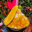 출판단지(다산교사거리) | 파주 출판도시 카페 베스트 10 순위 추천