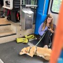 조마인트 | [내맘대로_유럽자유여행_Day58] 프랑크푸르트 → 한국 (240723)