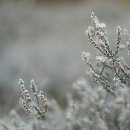 홍천시티투어 이미지