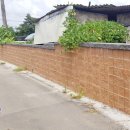 하대2리 이미지