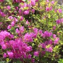 죽령옛길 민박 이미지