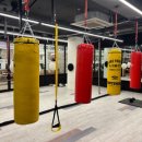 써밋복싱 이미지