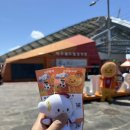 정호진 - 구리시 경춘로 261 | 부천 FC:제주 SK 제주 원정 후기