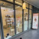 동그리아 | 평택 비전동 애견미용 추천｜탄산 스파까지 완벽한 반려견 미용실 동그리아 후기🐶🛁
