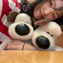 뽕 인형뽑기 네이버블로그
