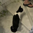 대로민박 이미지