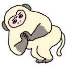 금이조아