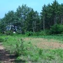 하나로농장-2 이미지