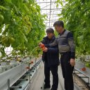 4차 산업혁명과 스마트 팜 이미지