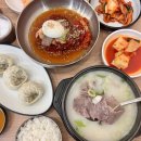 강박사설렁탕함흥냉면 | 김포설렁탕 맛집 함흥본가 풍무동 회냉면 특설렁탕 후기