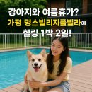 멍스빌리지풀빌라2 이미지