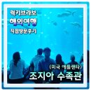미국 애틀랜타 필수여행코스 조지아 수족관 (Georgia Aquarium) 시티패스 이용