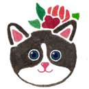 라임덴탈 이미지