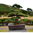 제주아트랜드 이미지