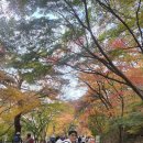 진주 연화사 목조 아미타여래좌상 | [전남] 2025, 장성 백암산 … 1. 백양사