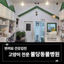 불당동물병원 | 새해맞이 반려묘 건강검진 | 불당동물병원 불당동 고양이 동물병원 추천 (천안사랑카드 결제 가능)