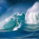 바다 속 이야기 이미지