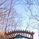 치악산둘레길 11코스 한가터길 이미지