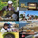 도시어부 - 구미시 인동32길 17-2 | 도시어부
