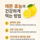 레몬