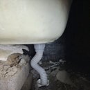 동백 죽전대로1 이미지