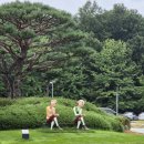 진양벨리 CC(대중제) | 진양밸리CC 라운딩 후기— 난이도 있고 관리도 좋은데, 이 거리를 감수할 만한가