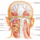 숲길신경과의원 이미지