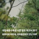 국립세종수목원 니콘 탐조 피크닉 후기｜후투티와 파랑새, 아라홍련까지 만난 하루