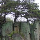 연암(소) 이미지