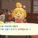 둥지박물관 네이버블로그