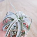 근형농장 이미지