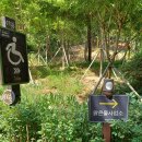 맑은물 사업소 옆 공원 이미지