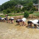 남이초등학교 이미지