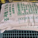 벨로체피아노 네이버블로그