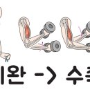 몬스터헬스 이미지