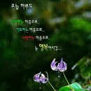 바질스윗