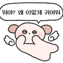 토마토펜션A 이미지