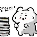 김홍일특허짬뽕마을 이미지