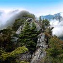 천하으뜸환경