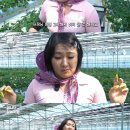 교포농장 이미지