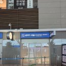 럭키더블마트 | [임신 17주차] 칭다오태교여행·칭다오이하이가든호텔·칭다오현지인맛집 후기