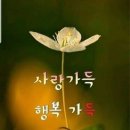 💟8월25일 화요일 출석방 문열어요💟꽃에 물 주는 뜻은 이미지