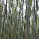 태화강펜션 이미지